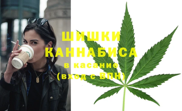 индика Михайлов