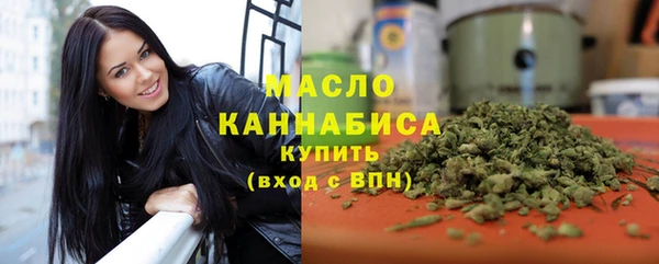 индика Михайлов