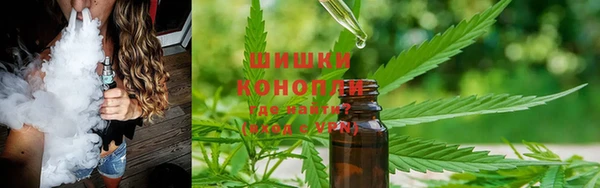 индика Михайлов