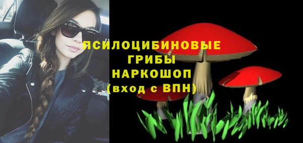 индика Михайлов