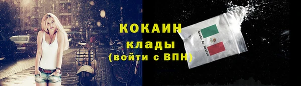 индика Михайлов