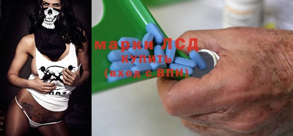 индика Михайлов
