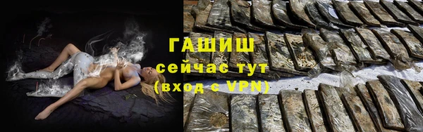 индика Михайлов