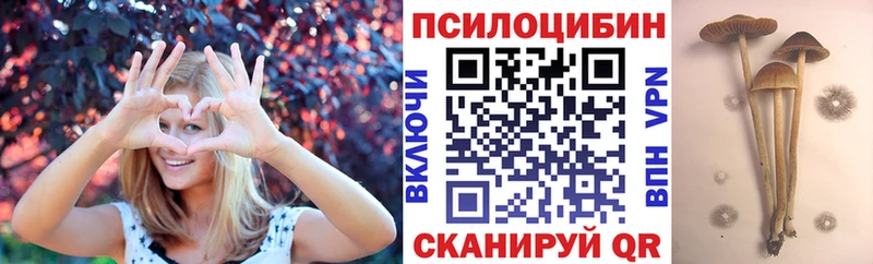 hydra зеркало  цена наркотик  darknet наркотические препараты  Галлюциногенные грибы GOLDEN TEACHER  Обоянь 